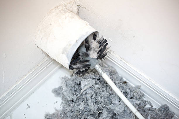 Best Air Duct Cleaning Near Me  in Wyomissing, PA